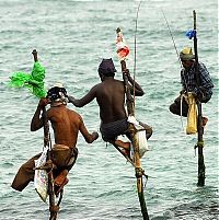 World & Travel: original fishing