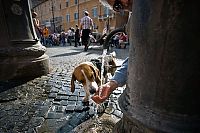 World & Travel: Life in Rome, Italy