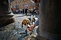 Trek.Today search results: Life in Rome, Italy