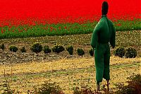 World & Travel: Tulip fields, Keukenhof, The Netherlands