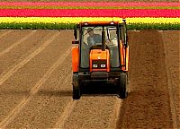 Trek.Today search results: Tulip fields, Keukenhof, The Netherlands