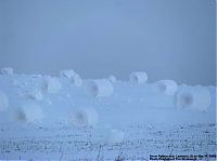 World & Travel: Snow rolls, unique natural phenomenon