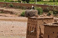 Trek.Today search results: The fortress at the river, Casbah Ait-Ben-Haddou