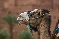 World & Travel: The fortress at the river, Casbah Ait-Ben-Haddou