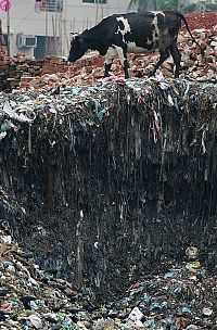 Trek.Today search results: Great Pacific Garbage Patch