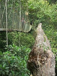 Trek.Today search results: dangerous bridges