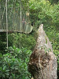 Trek.Today search results: dangerous bridges