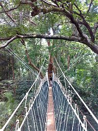 World & Travel: dangerous bridges