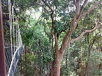 Trek.Today search results: dangerous bridges