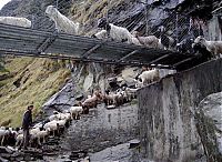 Trek.Today search results: dangerous bridges