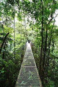 Trek.Today search results: dangerous bridges