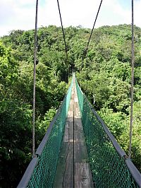 World & Travel: dangerous bridges