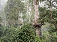 Trek.Today search results: dangerous bridges