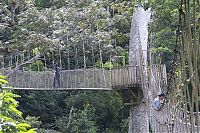 Trek.Today search results: dangerous bridges