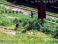 Trek.Today search results: The coal mafia in China