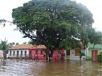 World & Travel: Floods leave 186000 homeless, Brazil