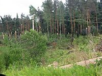 Trek.Today search results: Tornado in Sergiev Posad