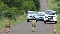 Trek.Today search results: Welcome to Africa