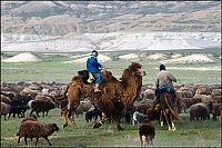 World & Travel: Trip to West Kazakhstan, Mangyshlak Peninsula