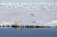 Trek.Today search results: Greenland