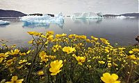 World & Travel: Greenland