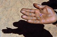 Trek.Today search results: Extraction of sapphires, Madagascar