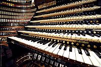 World & Travel: largest organ in the shopping center