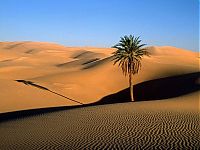 Trek.Today search results: desert sand dunes landscape photography