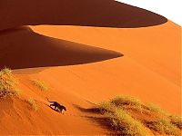 Trek.Today search results: desert sand dunes landscape photography