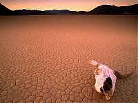 Trek.Today search results: desert sand dunes landscape photography