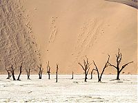 Trek.Today search results: desert sand dunes landscape photography