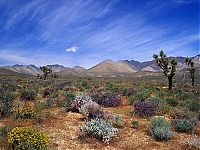 Trek.Today search results: desert sand dunes landscape photography