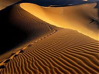 Trek.Today search results: desert sand dunes landscape photography