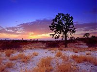 Trek.Today search results: desert sand dunes landscape photography