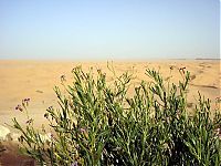 Trek.Today search results: desert sand dunes landscape photography