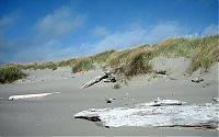 Trek.Today search results: desert sand dunes landscape photography