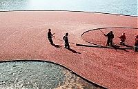 Trek.Today search results: Harvesting cranberries in England, United Kingdom