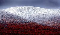 World & Travel: world photo news