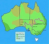 Trek.Today search results: The longest fence in the world, 5614 km, Australia