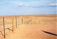 Trek.Today search results: The longest fence in the world, 5614 km, Australia