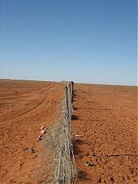 World & Travel: The longest fence in the world, 5614 km, Australia