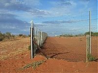 World & Travel: The longest fence in the world, 5614 km, Australia