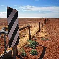 Trek.Today search results: The longest fence in the world, 5614 km, Australia