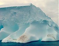 World & Travel: iceberg