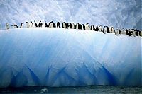 World & Travel: iceberg