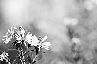 World & Travel: Chernobyl Nuclear Power Plant exclusion zone, Pripyat, Ivankiv Raion, Ukraine