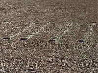 Trek.Today search results: Floating stones in the Valley of Death