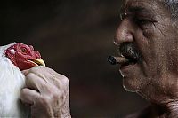 World & Travel: world photo news