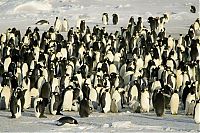 World & Travel: Antarctic Plateau, Antarctica