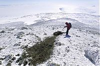 World & Travel: Antarctic Plateau, Antarctica